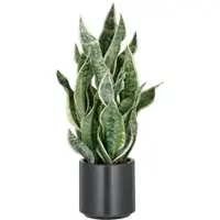 Creativ Green künstliche Pflanze Sansevieria Green Honey im anthrazitfarbenen Kunststofftopf mit Erde, 66cm