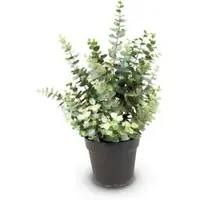 Fleur Ami Künstliche Eucalyptus Pflanze, Höhe 60 cm