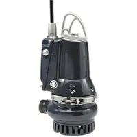 Grundfos Schmutzwasserpumpe 96877502 Grauguss, 10 m Kabel, DP10.50.09.E.EX.2.50B, R 2 AG