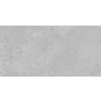 Fineza Abe Bodenfliese grau 30x60 cm matt ABE36GR