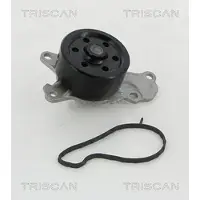 TRISCAN Wasserpumpe [Hersteller-Nr. 860010039] für Toyota, Citroën, Peugeot