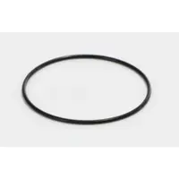 Elmag Schwimmerkammerdichtung (O-Ring) - 9503725