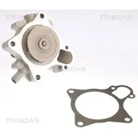 TRISCAN Wasserpumpe 8600 15038