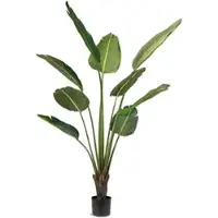 Fleur Ami Strelitzie (Baumstrelitzie) Kunstpflanze 160 cm