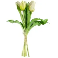 Möbel Kraft Tulpenbund ¦ grün ¦ Kunststoff ¦ Maße (cm): H: 28