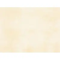 Rako Patina Wandfliese hellbeige 25x33 cm matt WATKB230.1