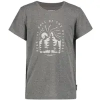 Icepeak T-Shirt KINSTON JR - Ki., lead-grey 817 (128)