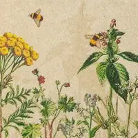 Home Fashion , Wild Flowers, Cocktail-Servietten aufgefaltetes Maß 25 cm x 25 cm, im Viertelfalz, 20 Stück pro Pack, 12 Pack pro Karton