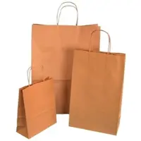 Pack4Food24 125 Premium Papiertragetaschen 54+15x49cm mit Kordel braun unbedruckt 110g/m2