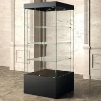 JTI-Vitrine Museum Vitrine Nero schwarz 80 x 80 cm