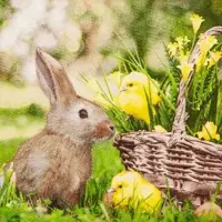 Home Fashion , Rabbit and Chicks, Lunch-Servietten aufgefaltetes Maß 33 cm x 33 cm, im Viertelfalz, 20 Stück pro Pack, 12 Pack pro Karton