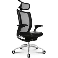 Wagner Titan Limited ergonomischer Bürostuhl mit Kopfstütze