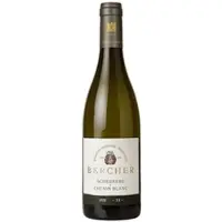 Weingut Bercher Scheurebe & Chenin Blanc -SE- 2020