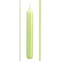 Kopschitz Kerzen Kerzen Leuchterkerzen Kiwi, 190 x 21 mm, 48 Stück