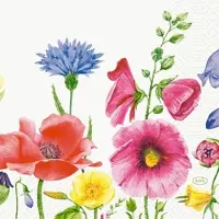 Duni Tissue-Serviette 33 x 33 cm Flowy Meadow 3-lagig, 1000 Stk/Krt (4 x 250 Stk)