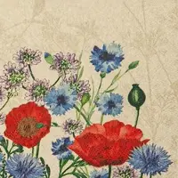 Home Fashion , Wild Poppies, Cocktail-Servietten aufgefaltetes Maß 25 cm x 25 cm, im Viertelfalz, 20 Stück pro Pack, 12 Pack pro Karton