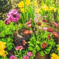 Home Fashion , Spring Garden, Lunch-Servietten aufgefaltetes Maß 33 cm x 33 cm, im Viertelfalz, 20 Stück pro Pack, 12 Pack pro Karton