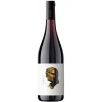 Teanum Otre Primitivo 2024 - Cantine