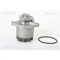 TRISCAN Wasserpumpe 8600 10005