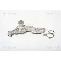 TRISCAN Wasserpumpe 8600 16062