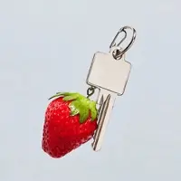 Oishy Schlüsselanhänger Sebastian Strawberry Koffer24