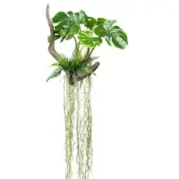 Creativ Green künstliche Pflanze Splitphilodendron x5 mit Drahthänger, auf Wurzel 50x50/160cm, mit Farn und Luftwurzeln