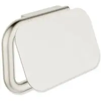 Hewi Serie 480 WC-Papierhalter 480.21.00170WR mit Deckel, PVD beschichtet, nickel gebürstet