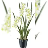 Creativ Green künstliche Pflanze Cymbidie orientalis, ca 80cm, "Real Touch"