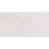 Fineza Project Bodenfliese hellgrau 30x60 cm matt DAKSR370.1