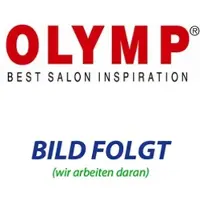 Olymp Kopie von Hairmaster Dryer x2i #1
