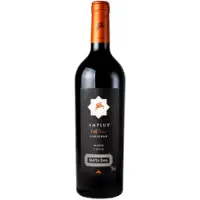 Santa Ema Amplus Old Vine Carignan 2018