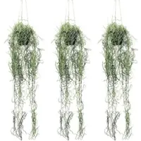 Creativ Green künstliche Pflanze Tillandsia Hänger, ca 80cm, 3er Set