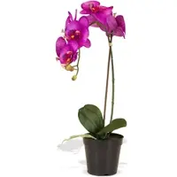 Fleur Ami Orchidee Kunstpflanze, Höhe 55 cm, pink
