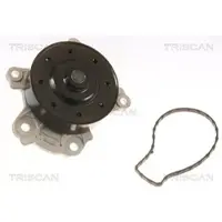 TRISCAN Wasserpumpe 8600 13039