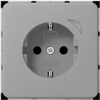 JUNG BTCD1521SEGR HOME SCHUKO