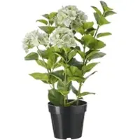 Möbel Kraft Hortensie getopft , lila/violett , Kunststoff , Maße (cm): H: 85