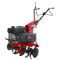 Eurosystems Motorhacke Z8 mit Loncin Benzinmotor TM70 OHV - Gänge 2+1