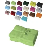 EXKLUSIV HEIMTEXTIL 4 x Badetuch 500 g/m2 100 x 150 cm Apfelgrün