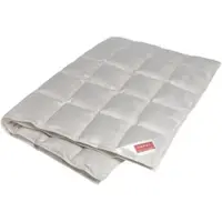 Hefel Textil GmbH Hefel Eiderdaunendecke Nobelbatist - 200x200cm