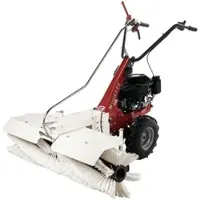Eurosystems P55 Mehrzweckgerät Balkenmäher mit Doppelmesser Loncin 196 OHV
