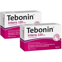 Dr. Willmar Schwabe GmbH & Co. KG Tebonin intens 120 mg 2X120 St