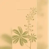 Mank Airlaid Besteckservietten Opus Flora, 40 x 40 cm, 75 Stück -