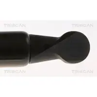 TRISCAN Gasfeder, Koffer-/Laderaum [Hersteller-Nr. 871025287] für Renault