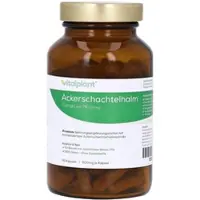 Vitalplant Ackerschachtelhalm 500 mg Extrakt Vitalp 90 St