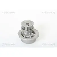 TRISCAN Wasserpumpe 8600 24003