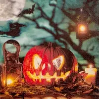 Home Fashion , Halloween!, Lunch-Servietten aufgefaltetes Maß 33 cm x 33 cm, im Viertelfalz, 20 Stück pro Pack, 12 Pack pro Karton