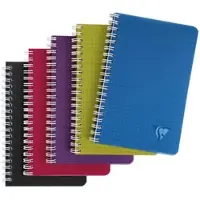 Clairefontaine 10x Spiralheft 11x17 cm 50 Blatt 90g kariert, Einband aus gerilltem Polypropylen, Linicolor INTENSIVE - Sortiert 329535C