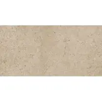 Ragno Eterna Bodenfliese greige 30x60 cm matt ETR8K1