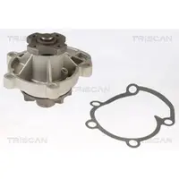TRISCAN Wasserpumpe 8600 65336