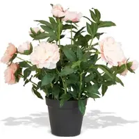 Fleur Ami Pfingstrose (Paeonia) Kunstpflanze mit 11 Blüten rosa